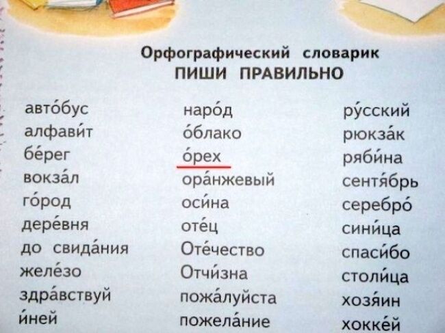 22 сумасшедших ляпа из российских школьных учебников