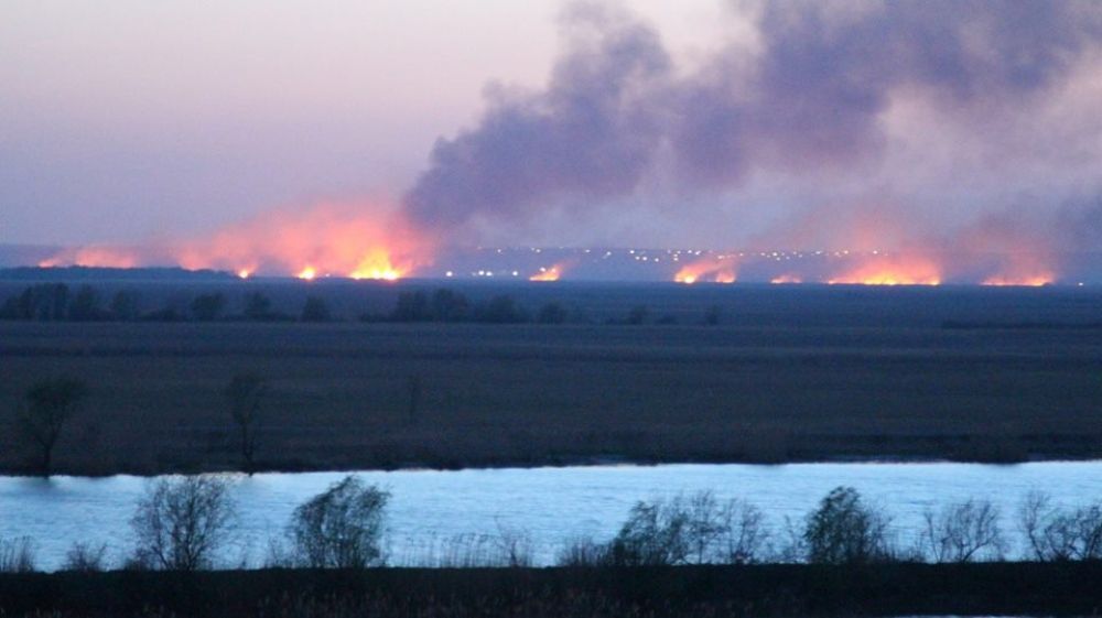 Масштабные пожары начались и в Украине: тоже говорят о поджоге