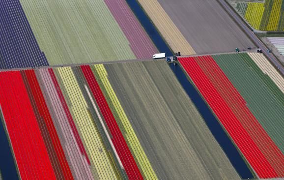 В Нидерландах открыл свои двери Сад Европы: опубликованы фото