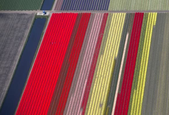 В Нидерландах открыл свои двери Сад Европы: опубликованы фото