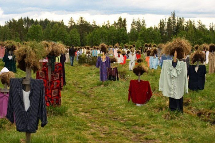 В Финляндии расцвело поле "молчаливых людей": опубликованы фото