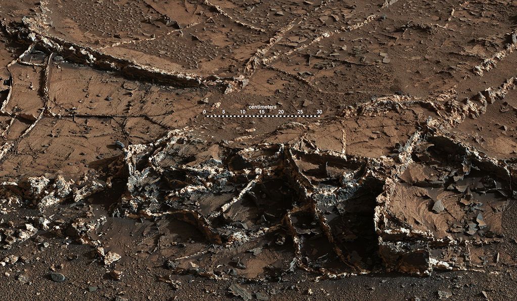 Ровер обнаружил на Марсе странный "Город-сад": опубликовано фото