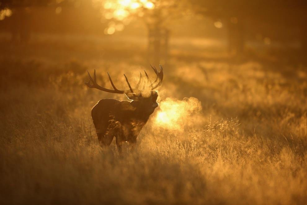 18 фотографий, доказывающих прекрасную гармонию Земли