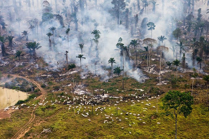 17 сильнейших снимков, показывающих, как мы уничтожаем нашу планету