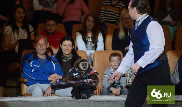В России для ветеранов устроили шоу с обезьянами-нацистами