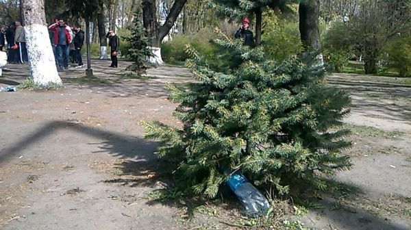 Шахтеры превратили Мариинский парк в мусорку: фотофакт