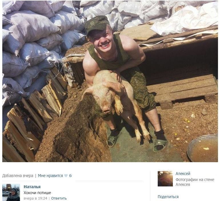 Російські солдати на кордоні з РФ обзавелися свинями: опубліковано фото