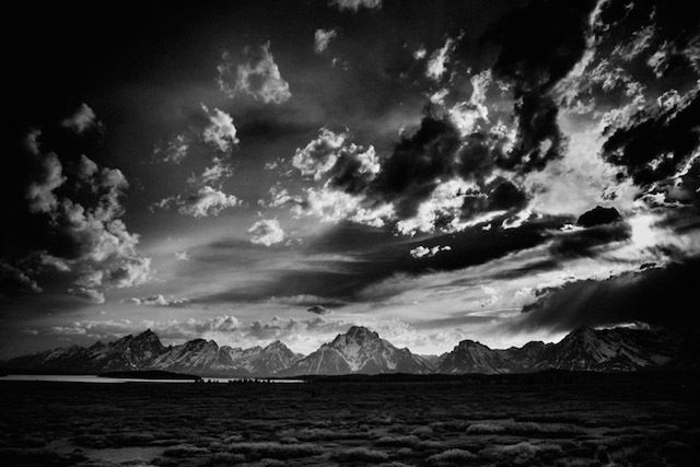 Черно-белая дикая природа Америки