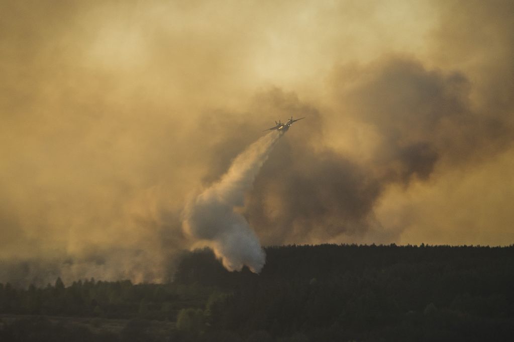 Пожар в зоне ЧАЭС: хроника событий, фото и видео
