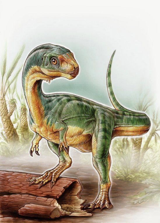 Палеонтологи нашли утконосого и травоядного "дедушку" хищного тираннозавра