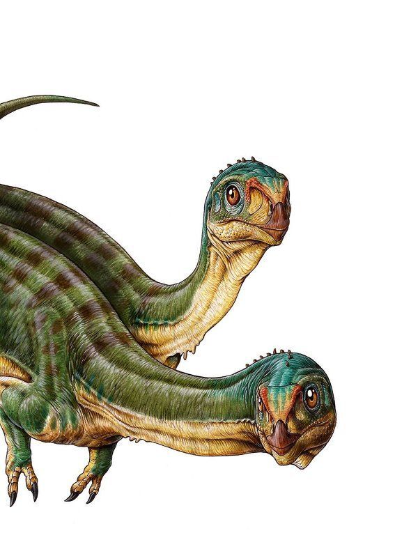 Палеонтологи нашли утконосого и травоядного "дедушку" хищного тираннозавра