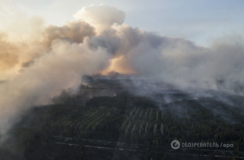 Пожар в зоне ЧАЭС: хроника событий, фото и видео