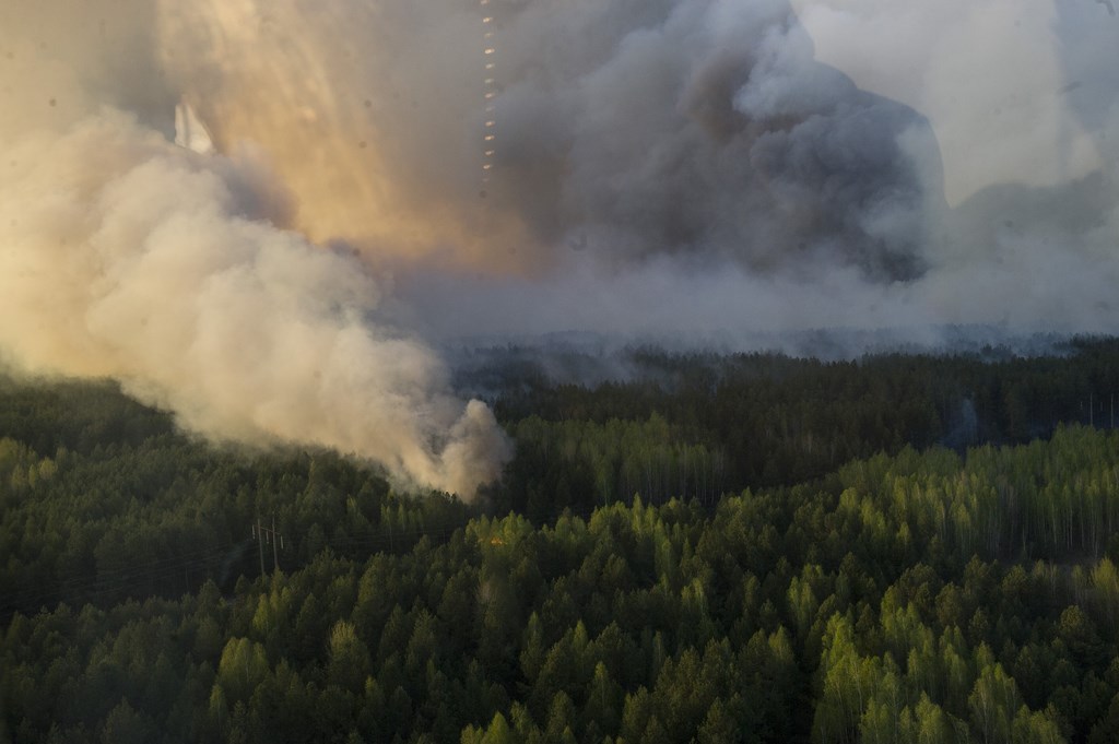 Названы вероятные причины пожара вблизи ЧАЭС: фото и видео с места ЧП