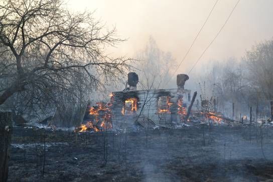 Пожар вблизи ЧАЭС: из зоны отчуждения эвакуируют жителей. Фотофакт