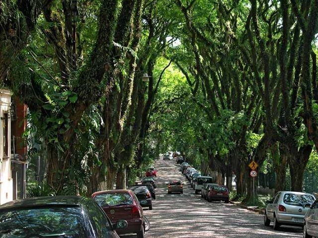 Дышите легко: самая зеленая улица в мире
