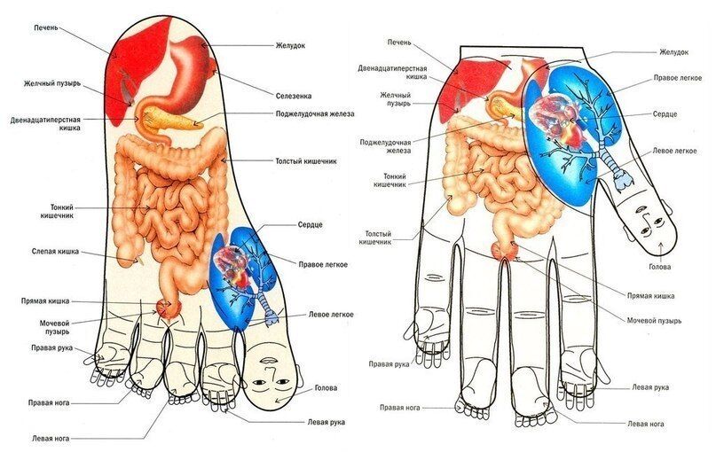 Точечный массаж тела, который эффективно восстановит организм