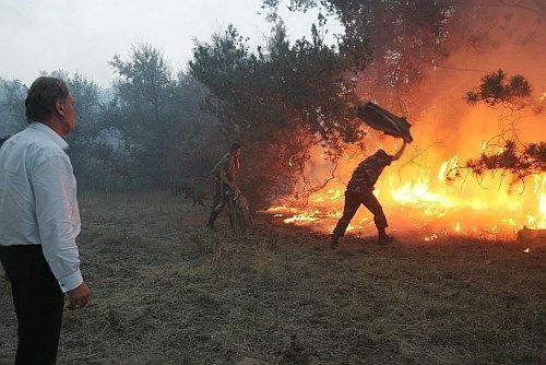 Ющенко и Шуфрич тушат пожары красивей, чем Яценюк и Шкиряк: фотофакт