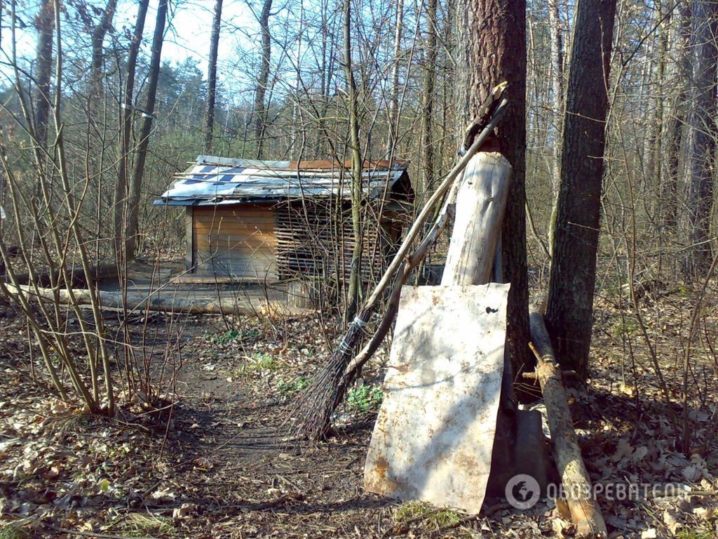 Незвичайний Київ: у столичному лісі знайшли хатинку "індіанця". Фото