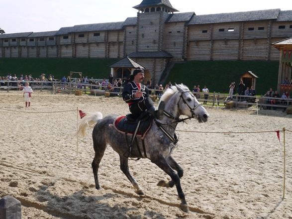 Под Киевом прошел конно-трюковой фестиваль