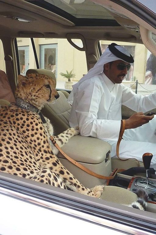 Самый безумный город на Земле: 15 редких фото богатого Дубаи