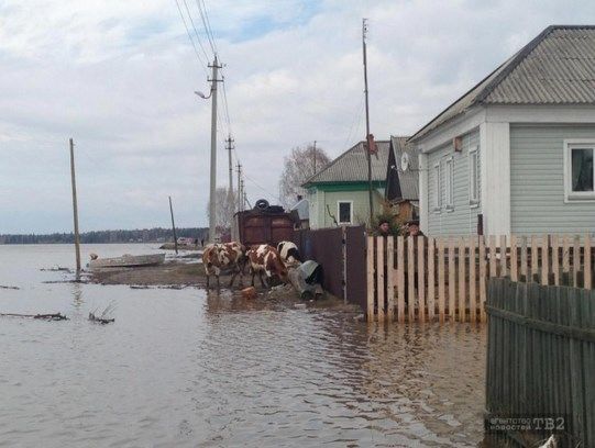 Росія потерпає від сильної повені: опубліковані фото