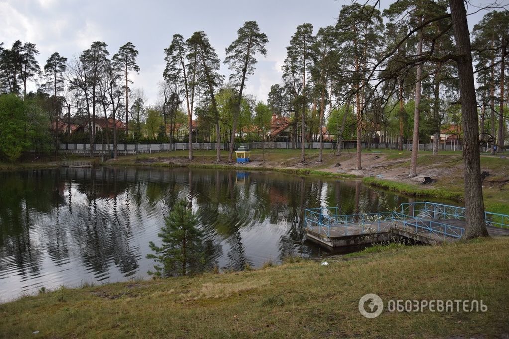 Пикник по-киевски: плюсы и недостатки отдыха за городом и в центре столицы