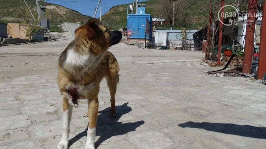 "Кто-нибудь помнит…?": откровение 20-летнего "азовца" о забытом Богом Широкино