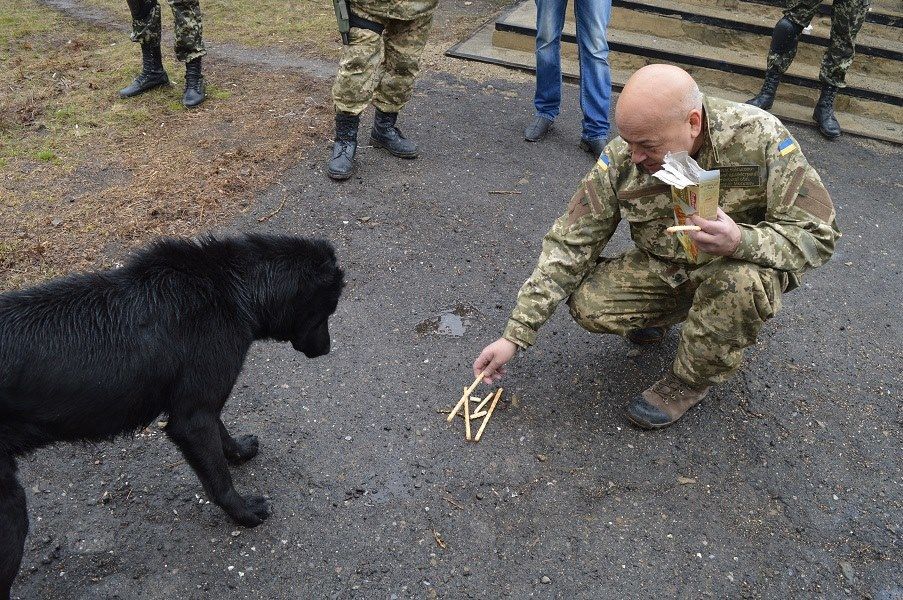 Есть можно: Москаль в Троицком накормил украинской тушенкой Евроскептика - фотофакт