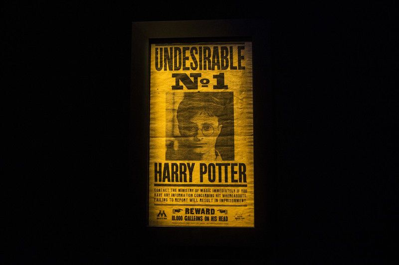 Во Франции открыли выставку о Гарри Поттере: волшебные фото