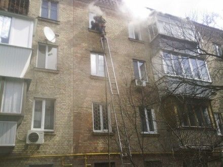 В Киеве пожарные вынесли из огня кошку