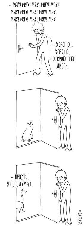 Невероятно забавный комикс о самовлюбленных котиках