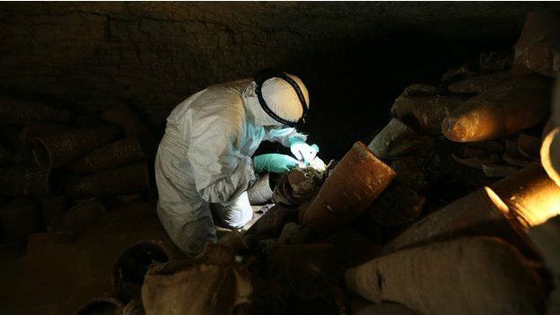 Скандал: в Египте обнаружили пустые мумии животных