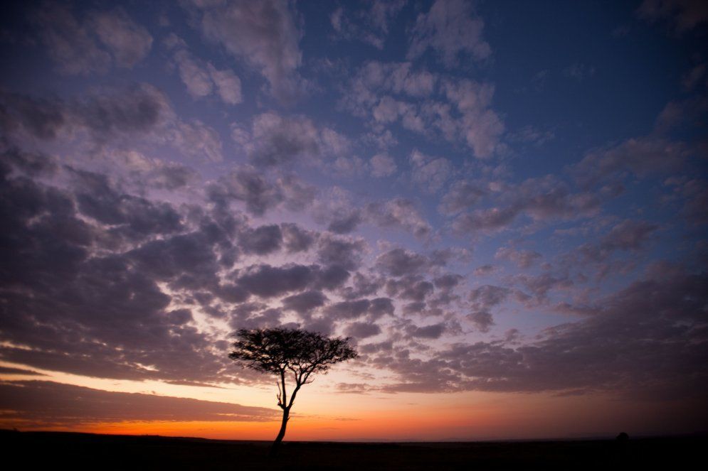Увидеть солнце и умереть: невероятные восходы и закаты в Кении
