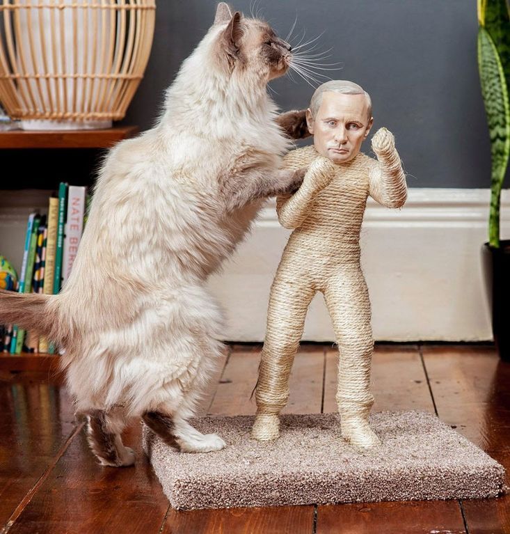 Что ваш кот думает о Путине? Для домашних любимцев создали "когтеточки" с мировыми диктаторами