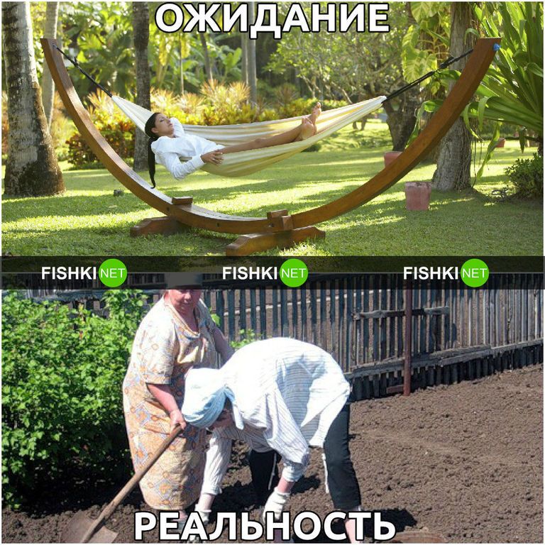 Дача: ожидание и реальность