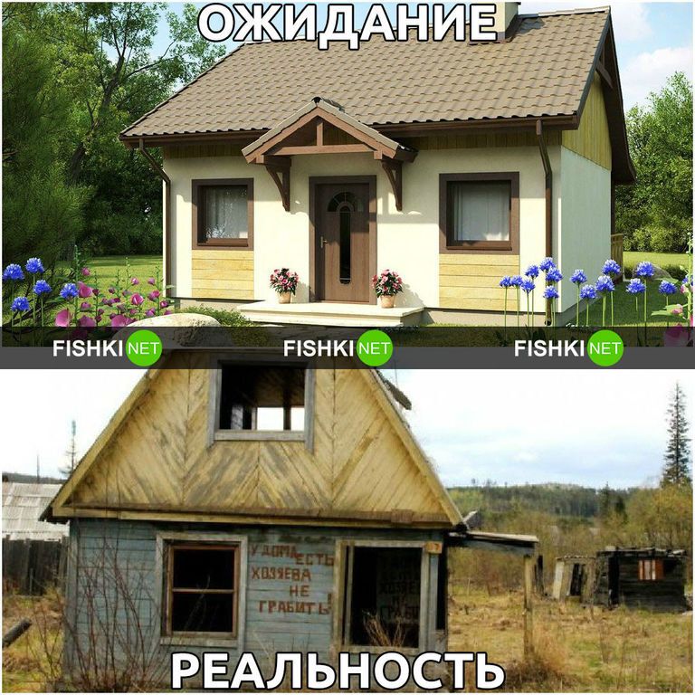 Дача: ожидание и реальность