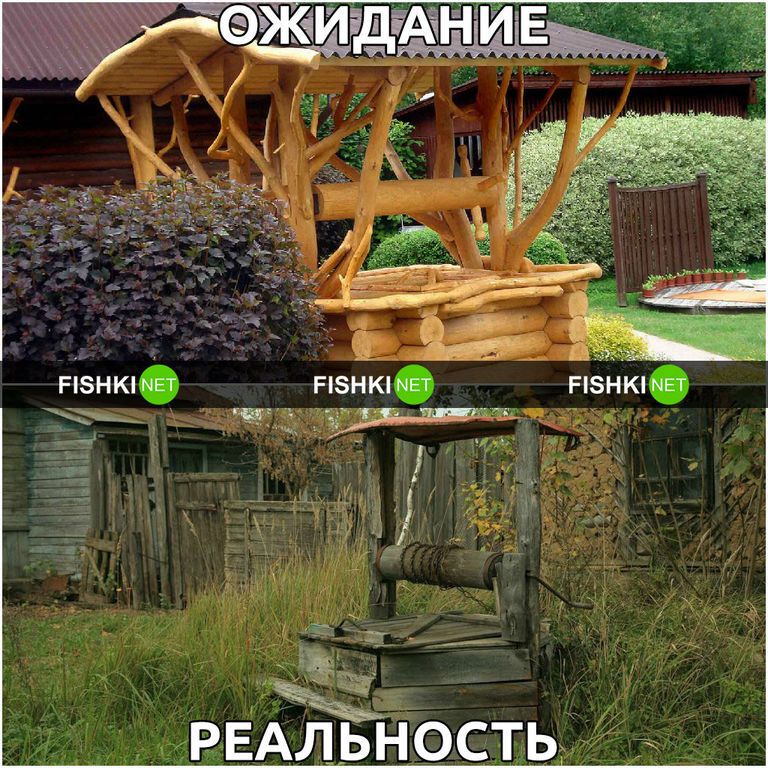 Дача: ожидание и реальность