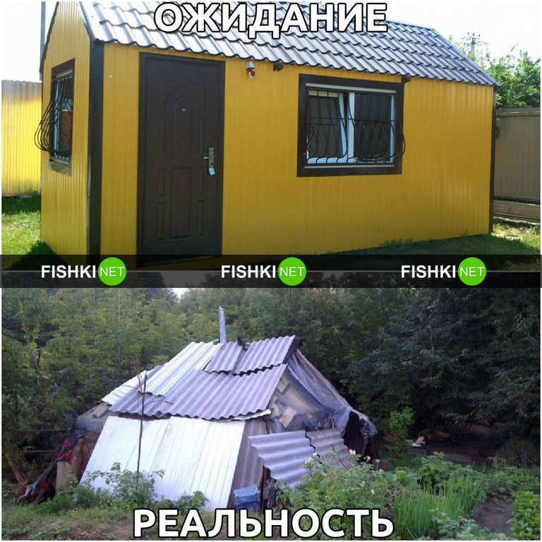 Дача: ожидание и реальность