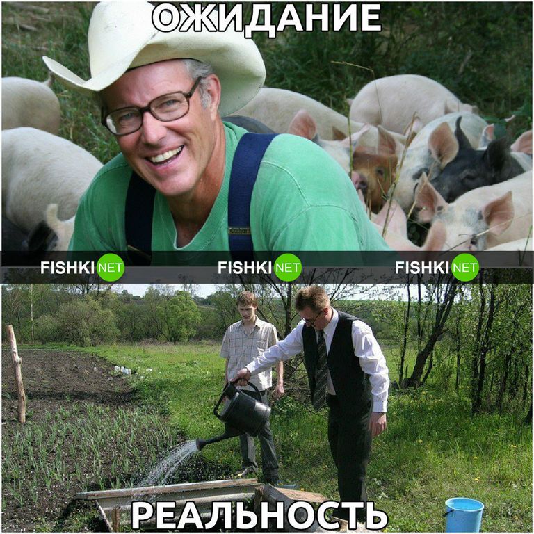 Дача: ожидание и реальность