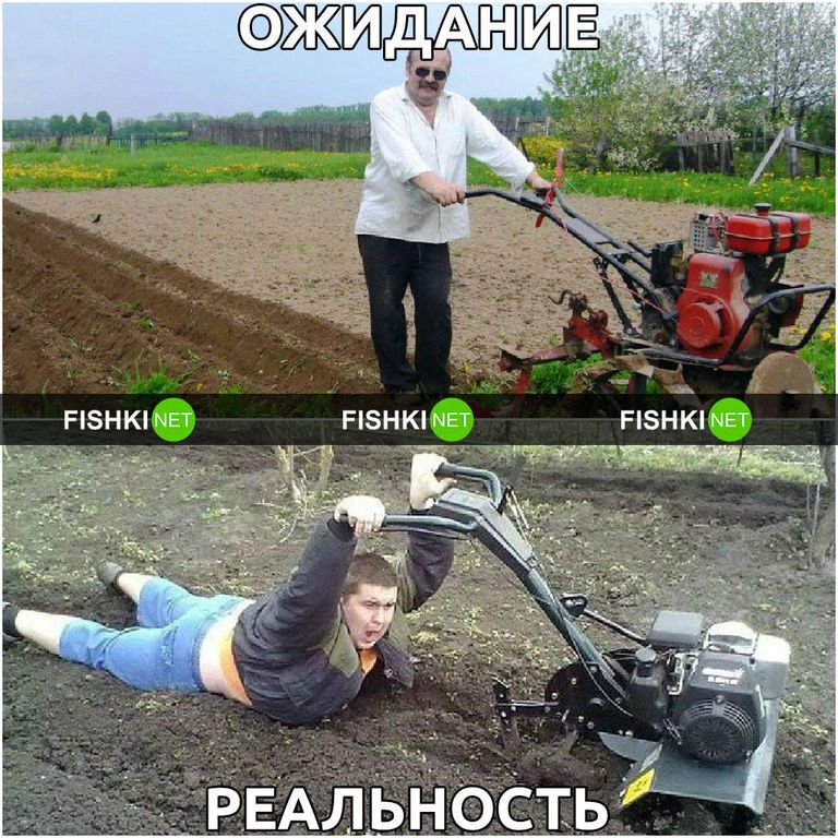 Дача: ожидание и реальность