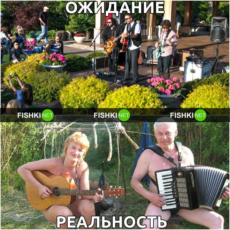 Дача: ожидание и реальность