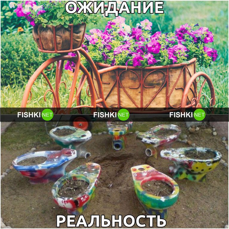 Дача: ожидание и реальность