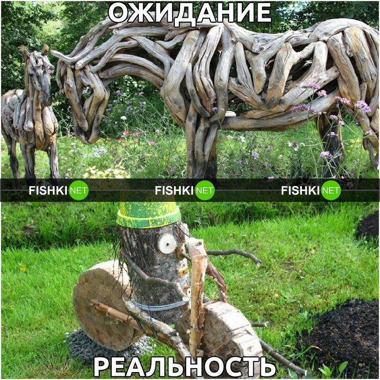 Дача: ожидание и реальность