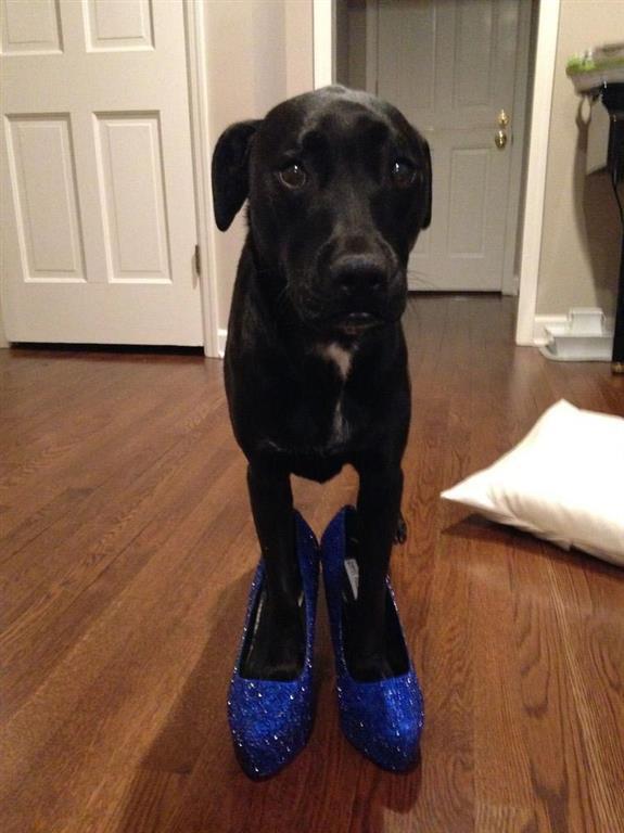 Девушка потратила 40 долларов, чтобы сделать туфли за $ 6000