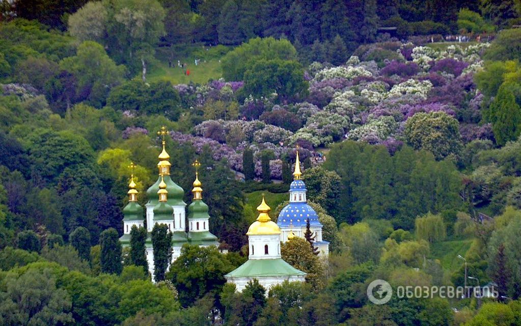 Роскошная весна: Киев утопает в цветах