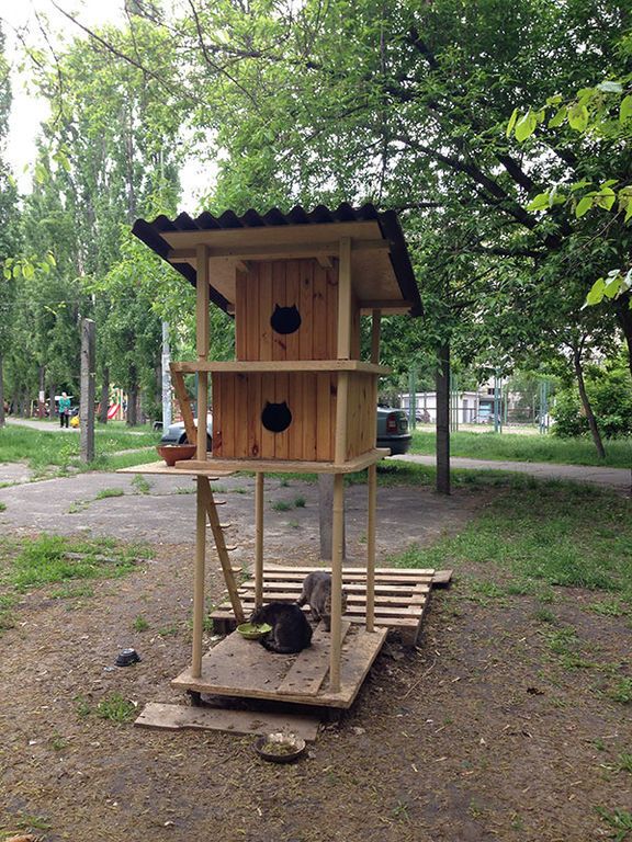 В Киеве появился домик для бездомных котов: фотофакт