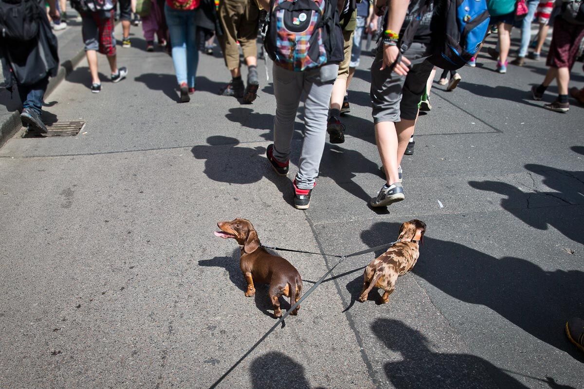 Марш за легализацию марихуаны в Праге