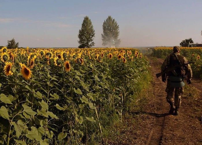 Километр под дулом снайпера: российский журналист показал всю правду о войне на Донбассе