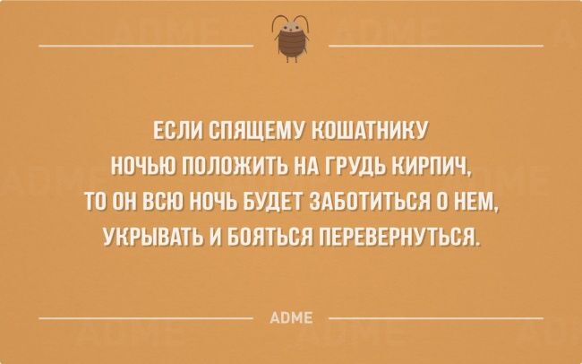 25 открыток о том, что все мы не без тараканов в голове