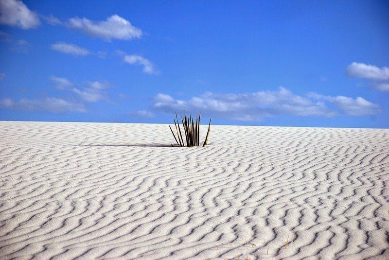 Уникальная гипсовая пустыня белого песка